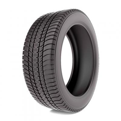 1558013 89R PETLAS PT825+
