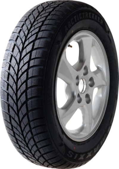 1657013 83T MAXXIS WP05 