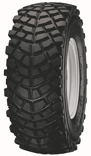 2357515 105Q BS CAIMAN 