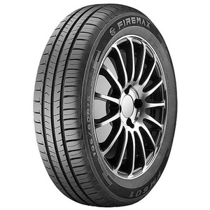 1956515 91H FIREMAX FM601